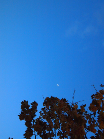 c0175715_16303483.jpg