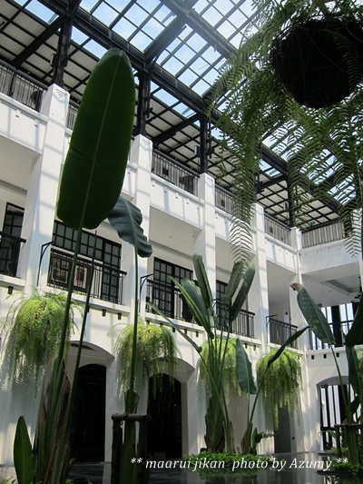 a0114521_1649941.jpg