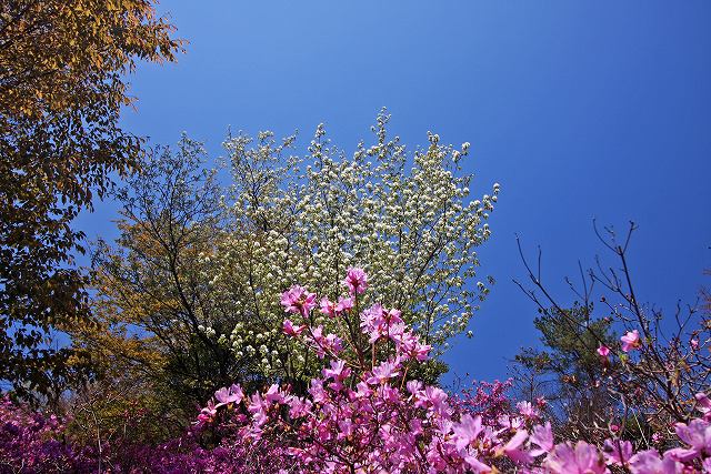a0242438_17414963.jpg