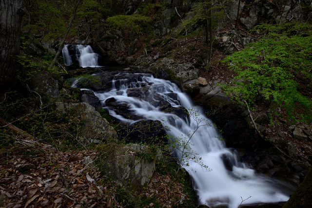 c0221838_202417.jpg