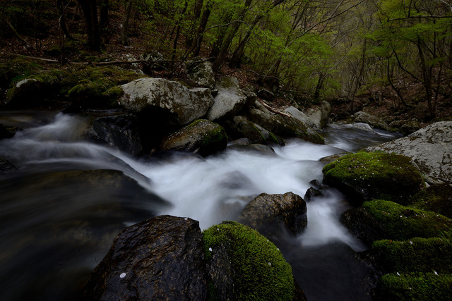 c0221838_2025991.jpg