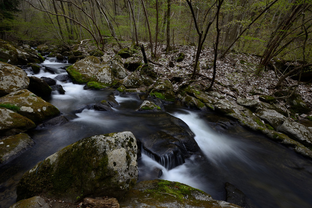c0221838_2033276.jpg