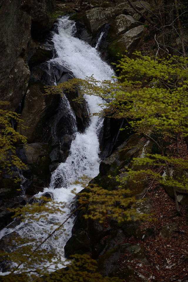 c0221838_2085148.jpg