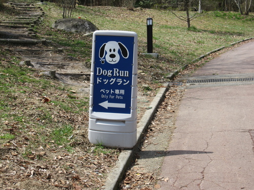 f0245650_817899.jpg