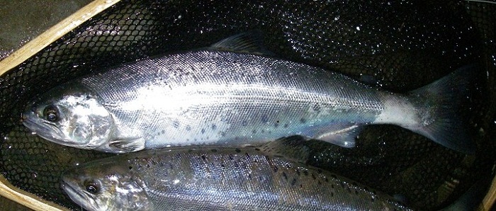 f0212059_21501121.jpg
