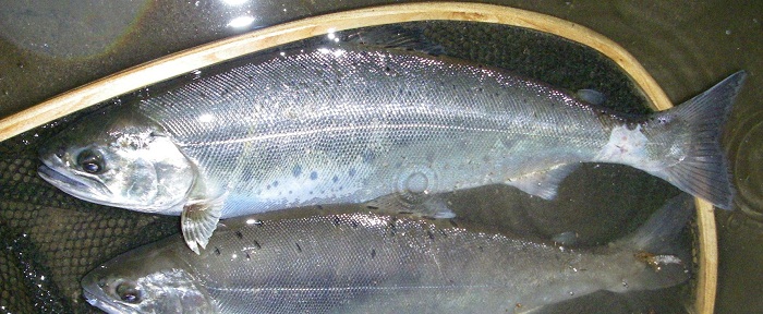 f0212059_2155884.jpg