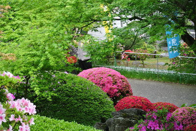 b0267163_1112626.jpg