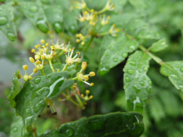 e0278968_22595545.jpg