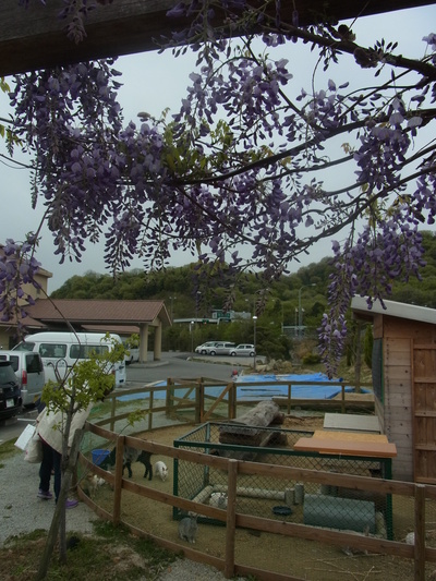 d0064175_23311989.jpg