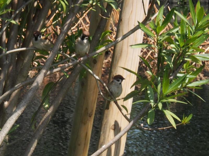 c0183777_2047166.jpg