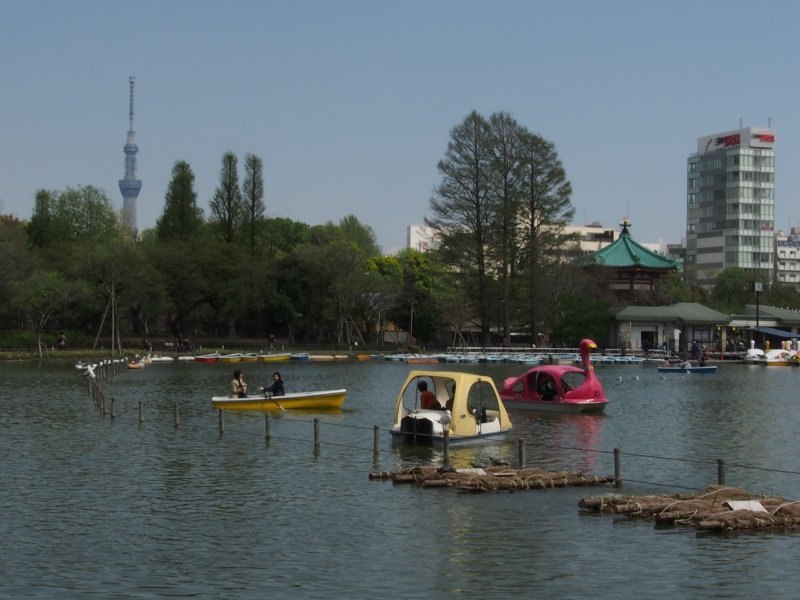 c0183777_20485791.jpg