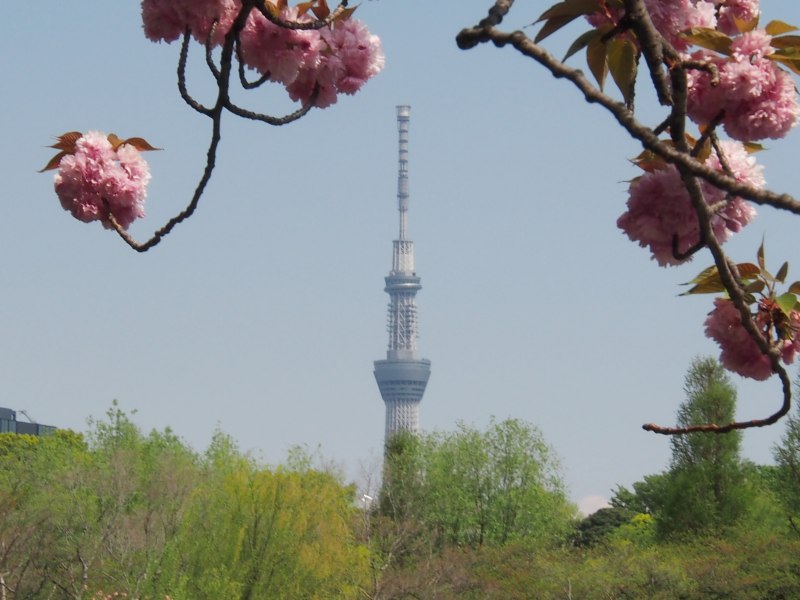 c0183777_20582086.jpg