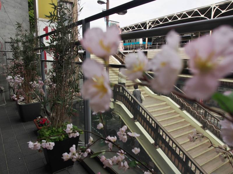 c0183777_2118640.jpg