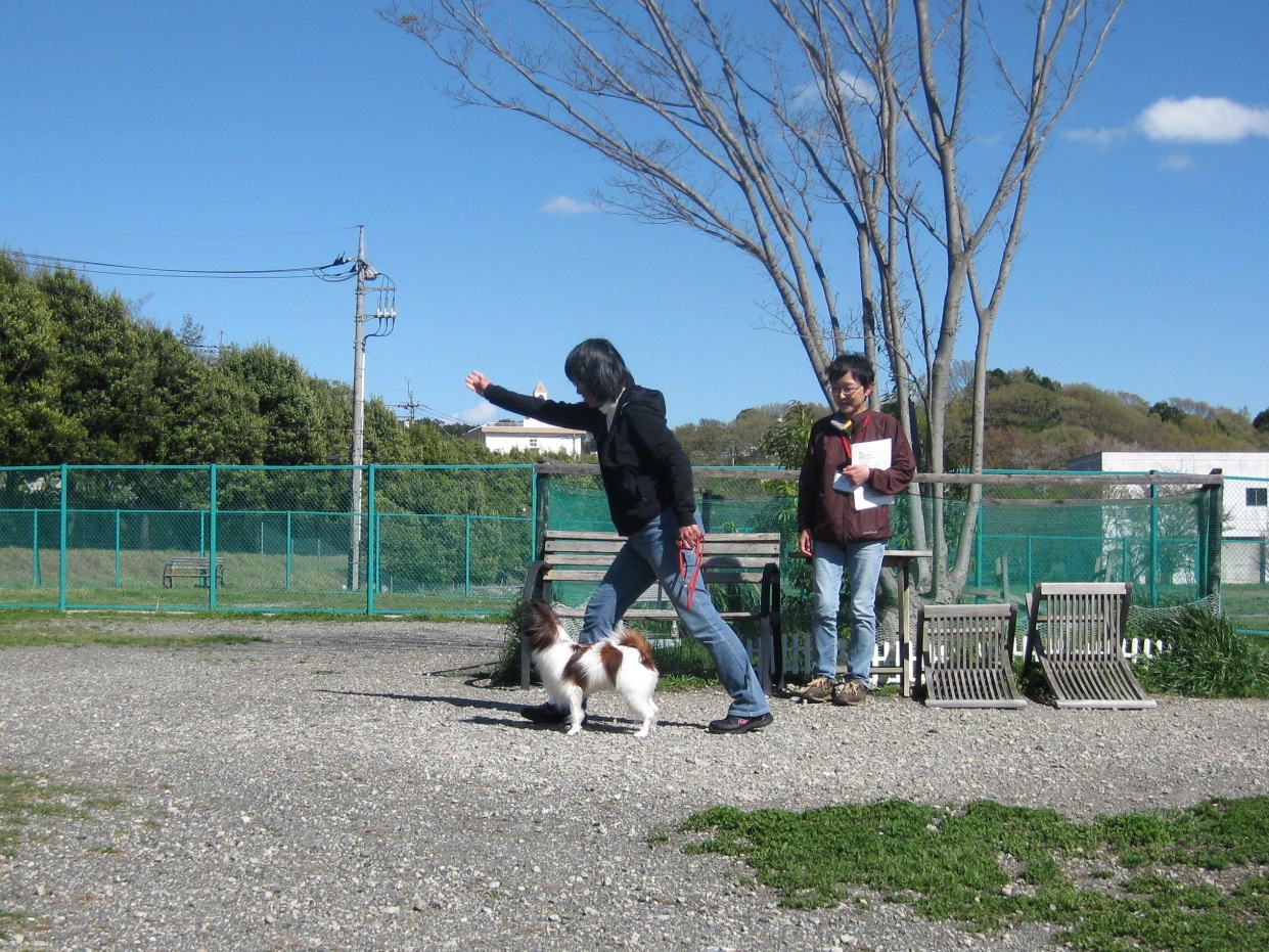 f0230380_143538.jpg