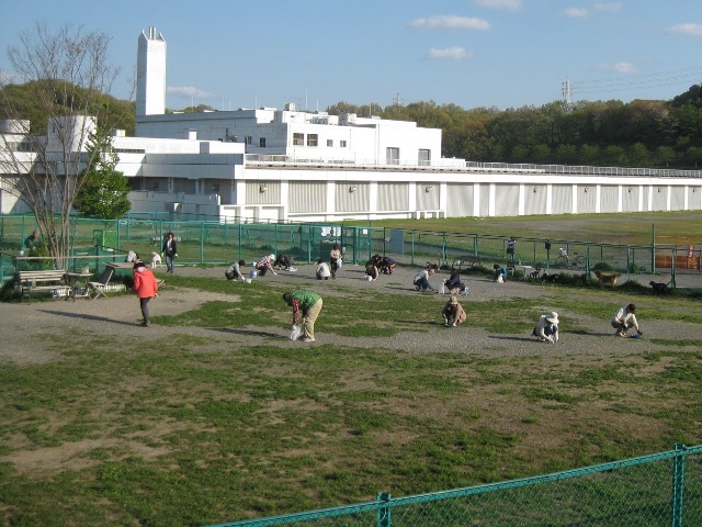 f0230380_2345718.jpg
