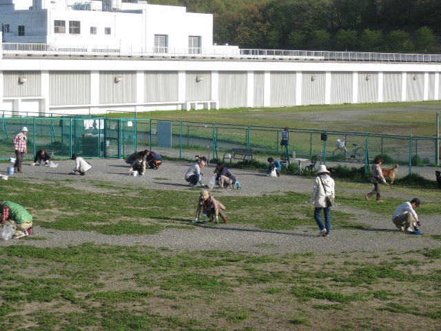 f0230380_2346519.jpg