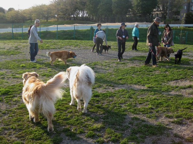 f0230380_23593490.jpg