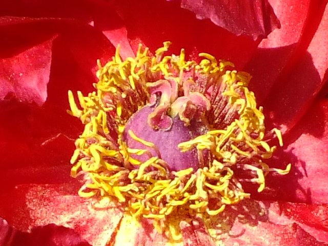 e0145782_116151.jpg