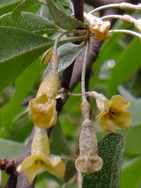 e0145782_2052345.jpg