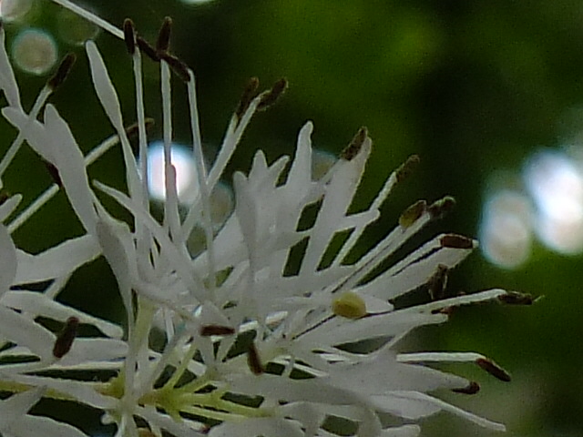 e0145782_20581186.jpg