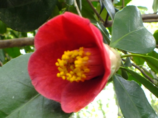 e0145782_20592695.jpg