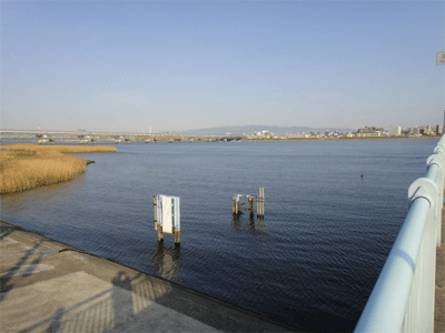 b0108100_74426100.gif