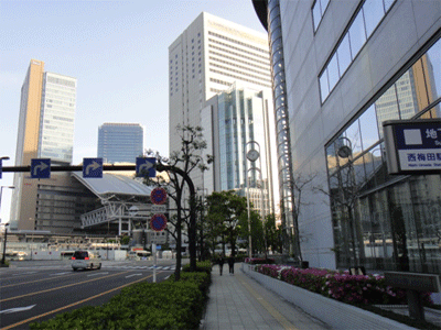 b0108100_744632.gif