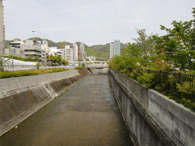 b0108100_7453746.gif