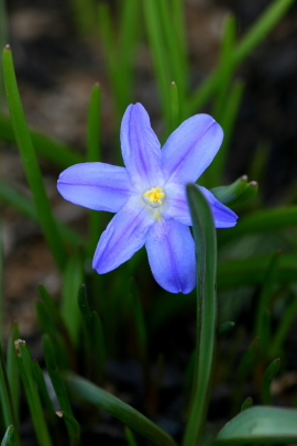 f0041606_19562298.jpg