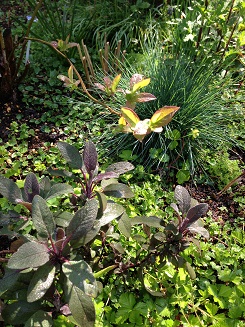 e0233111_9183046.jpg