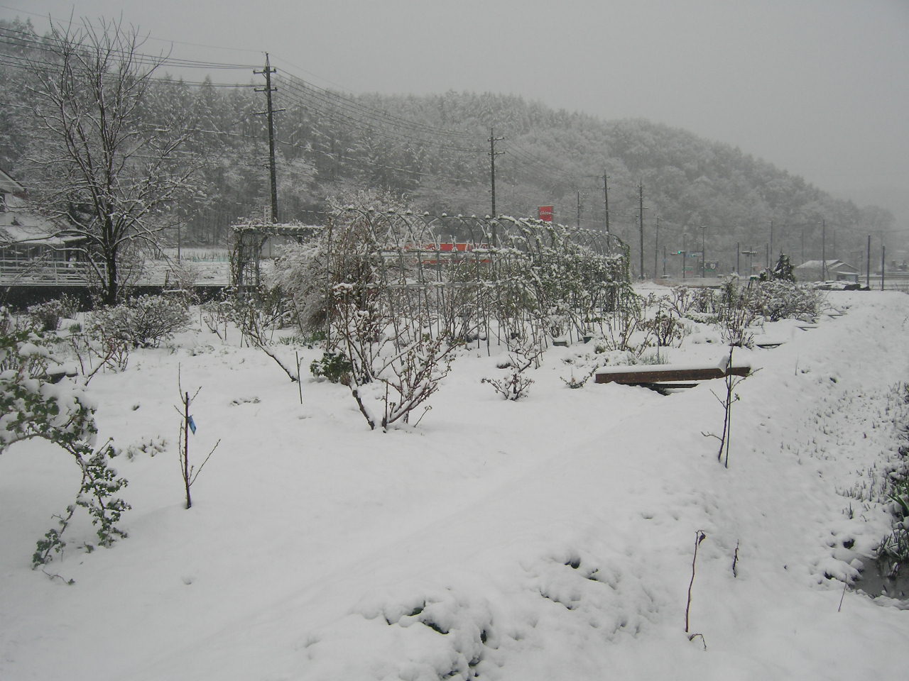 e0255117_13454879.jpg