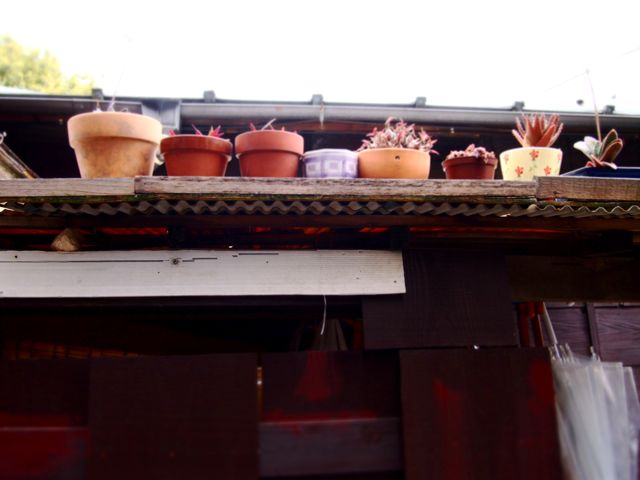 f0217617_12164581.jpg