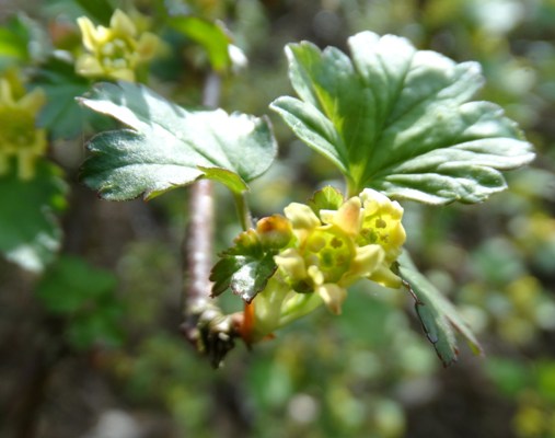 c0042418_1046389.jpg