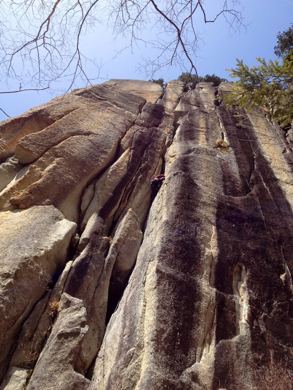 c0210618_912355.jpg