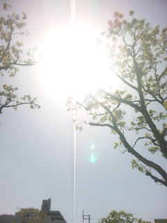 e0119327_1723114.jpg