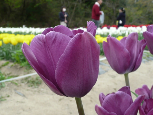 c0009528_22315381.jpg