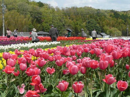 c0009528_22323266.jpg