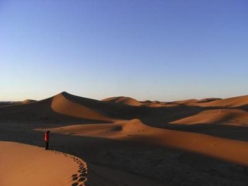 c0051529_222546.jpg