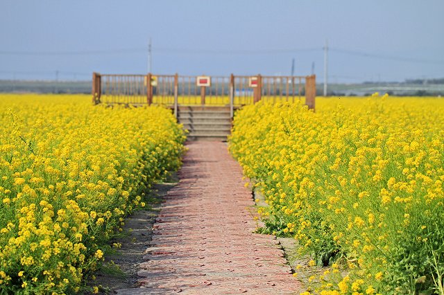 a0242438_11435321.jpg