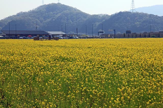 a0242438_11444215.jpg