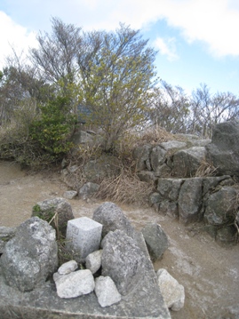 c0077338_21581796.jpg