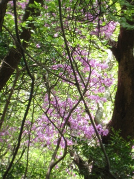 c0077338_21582916.jpg