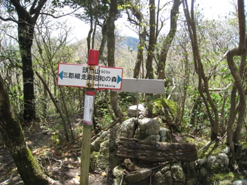 c0077338_2158588.jpg