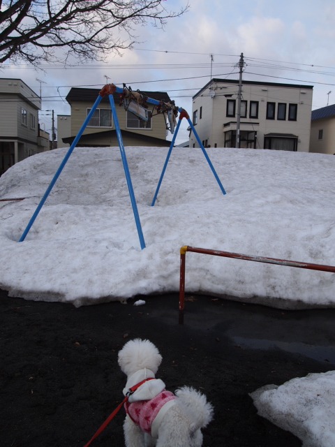 c0117239_724727.jpg