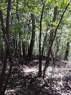 c0059543_22151823.jpg