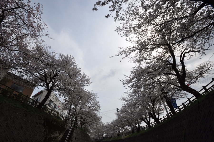 a0022350_11535912.jpg