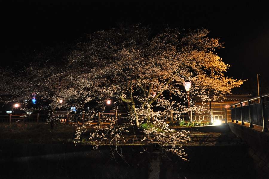 a0022350_11545691.jpg