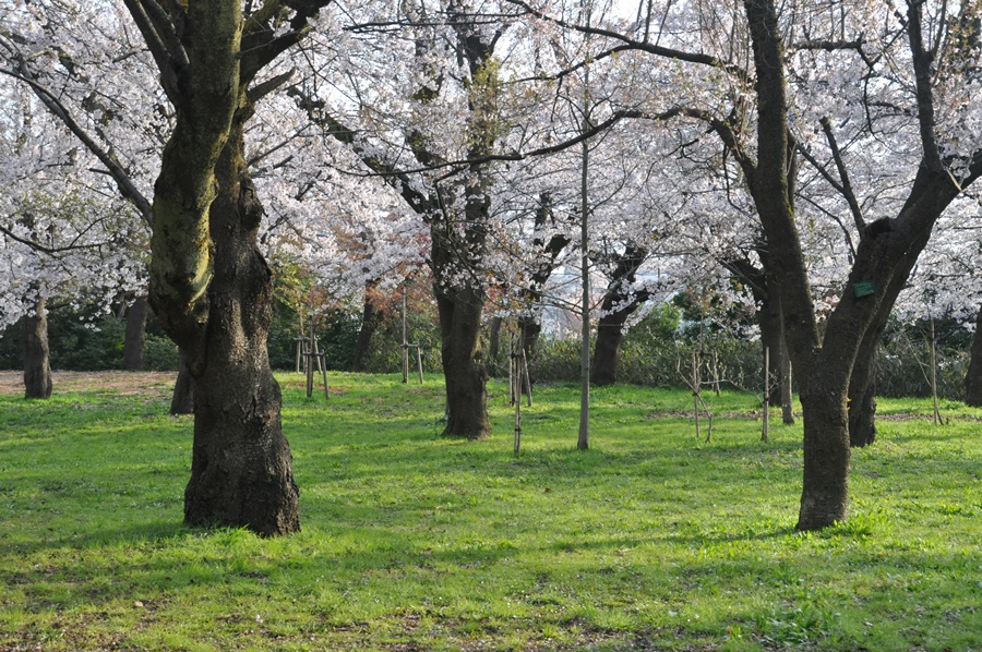 a0022350_1211797.jpg