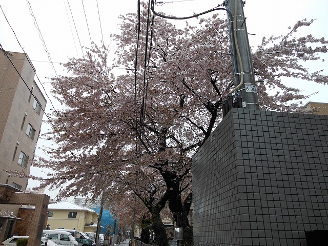 a0150353_23311673.jpg