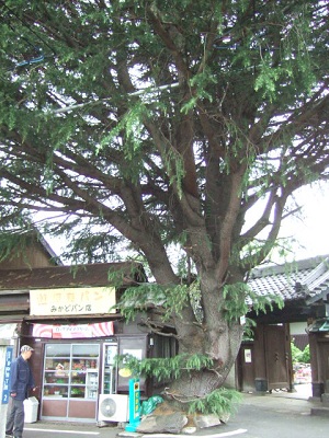 e0225164_5373814.jpg
